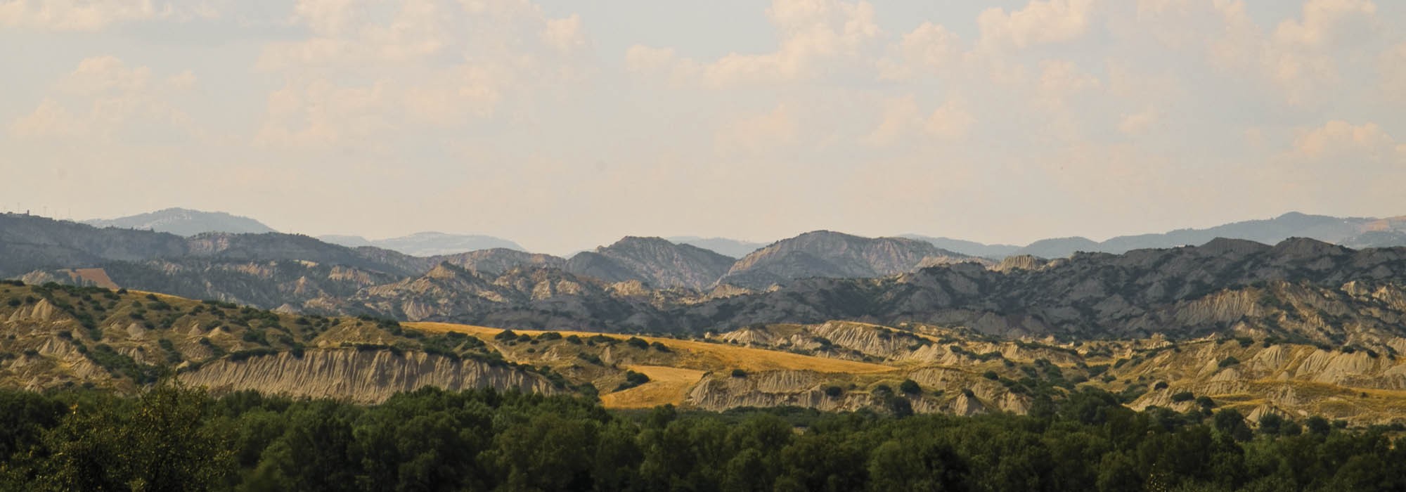 Olio Extravergine d'Oliva – Das Gold Italiens